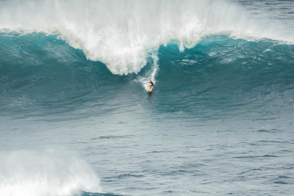 Tri vs quad : quel montage selon le type de vagues