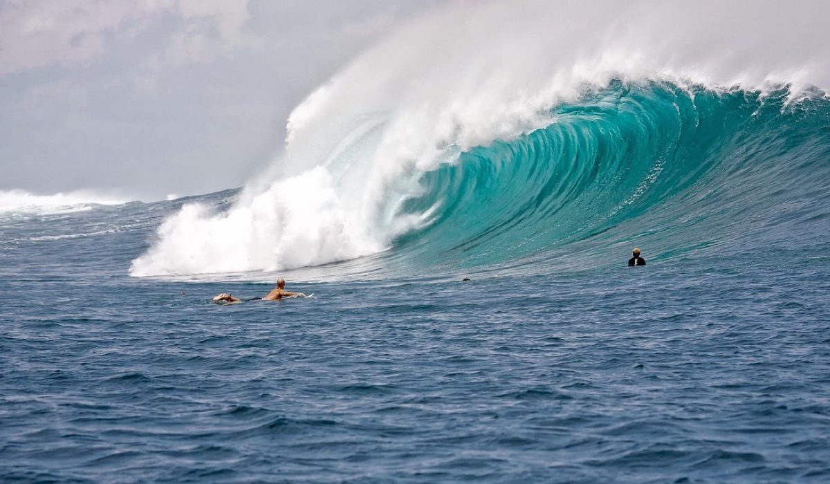 Channel Islands ou JS Industries pour planche de performance
