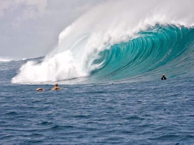 Channel Islands ou JS Industries pour planche de performance