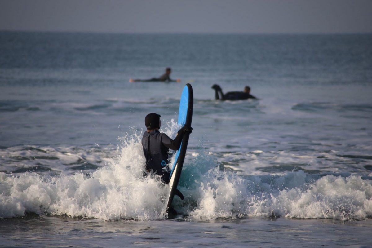 Firewire ou Haydenshapes : quelle marque de planche choisir