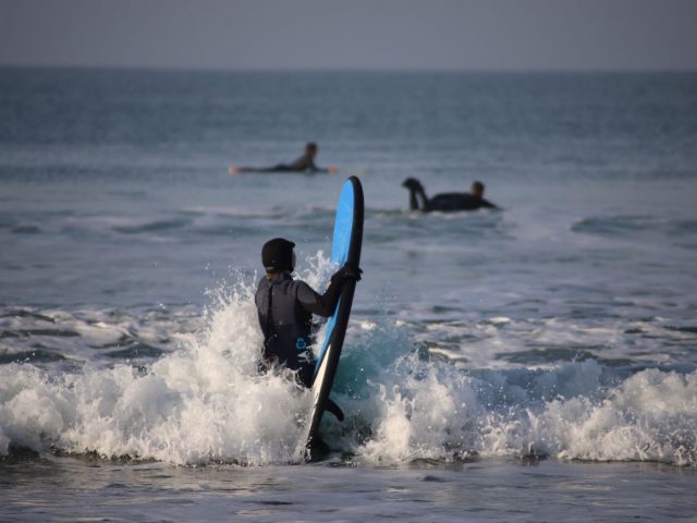 Firewire ou Haydenshapes : quelle marque de planche choisir