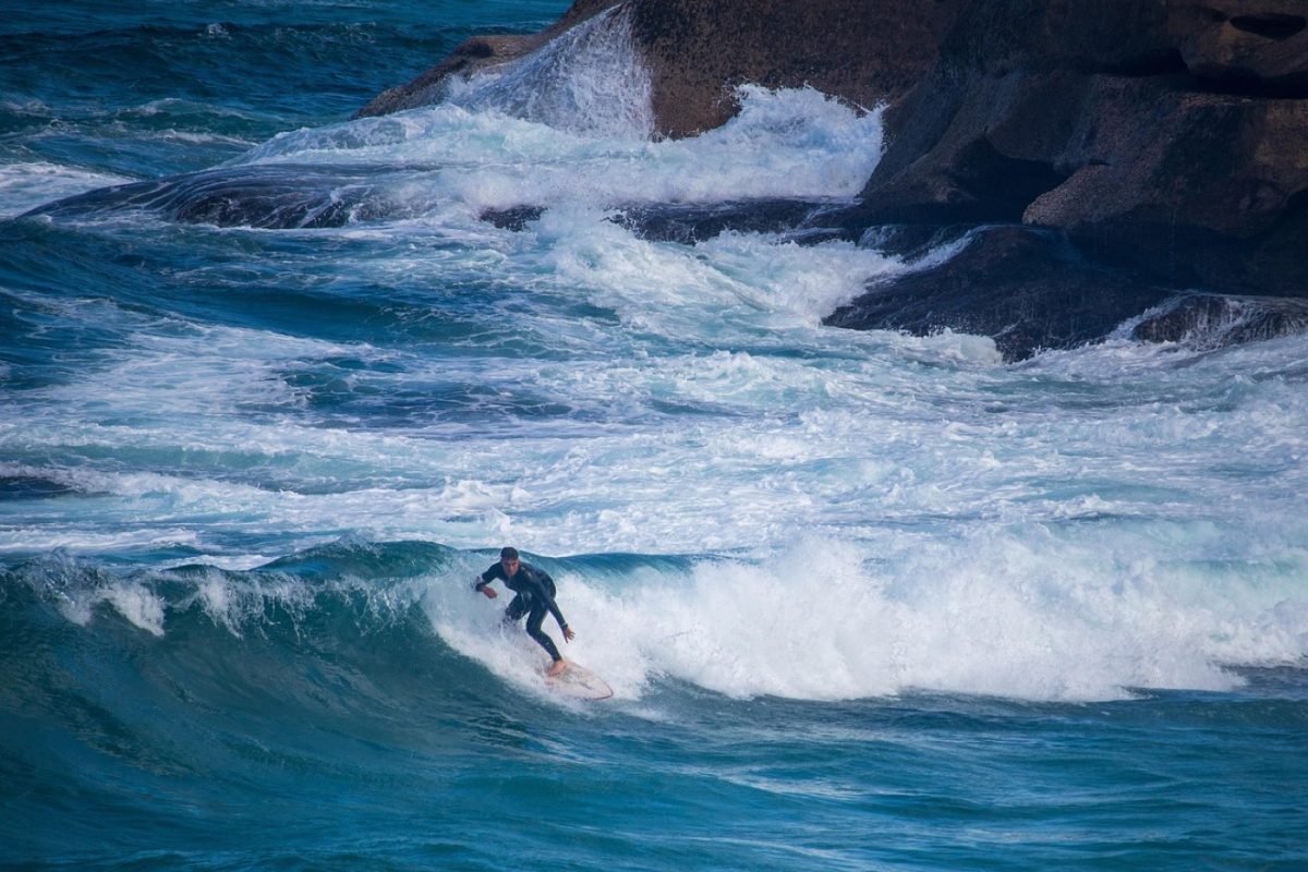 Petits surf shops indépendants à connaître