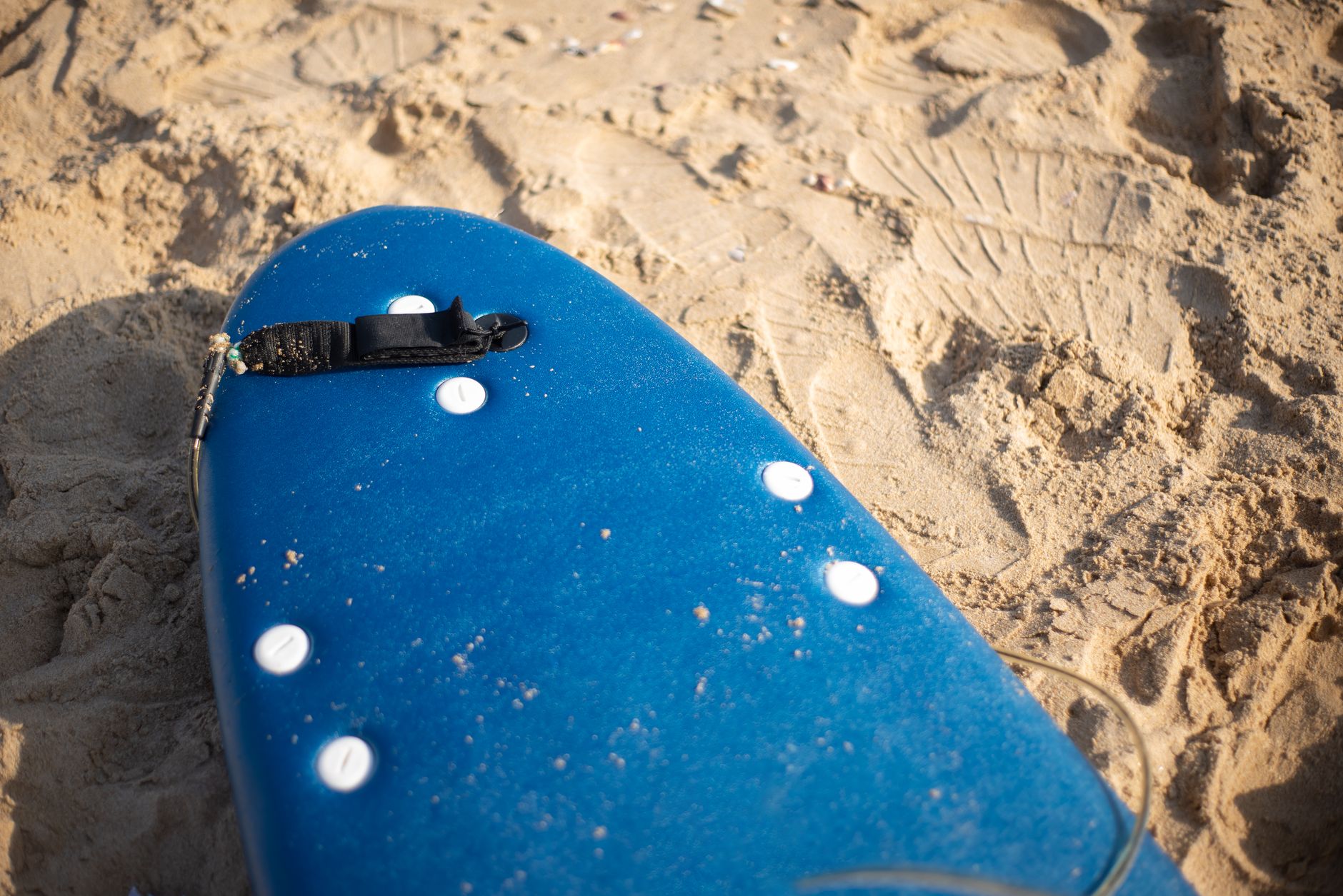 Foam board ou softboard — quel choix selon l'usage
